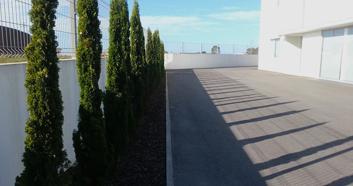 entrada